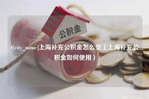 葫芦岛上海补充公积金怎么交（上海补充公积金如何使用）